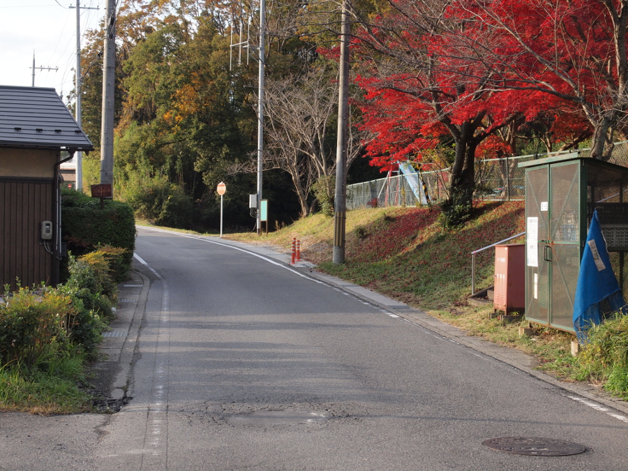 写真拡大