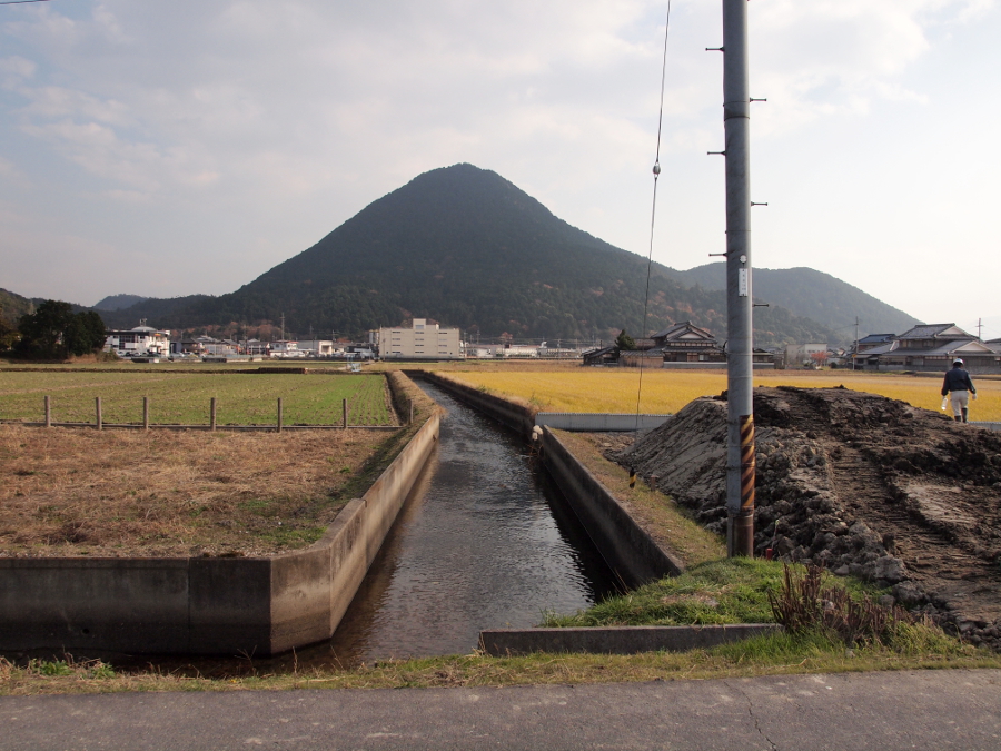 写真拡大
