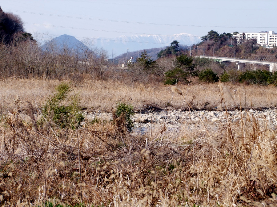 写真拡大
