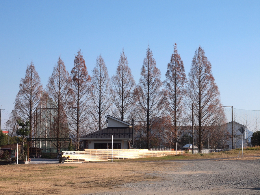 写真拡大