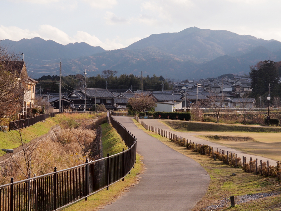 写真拡大
