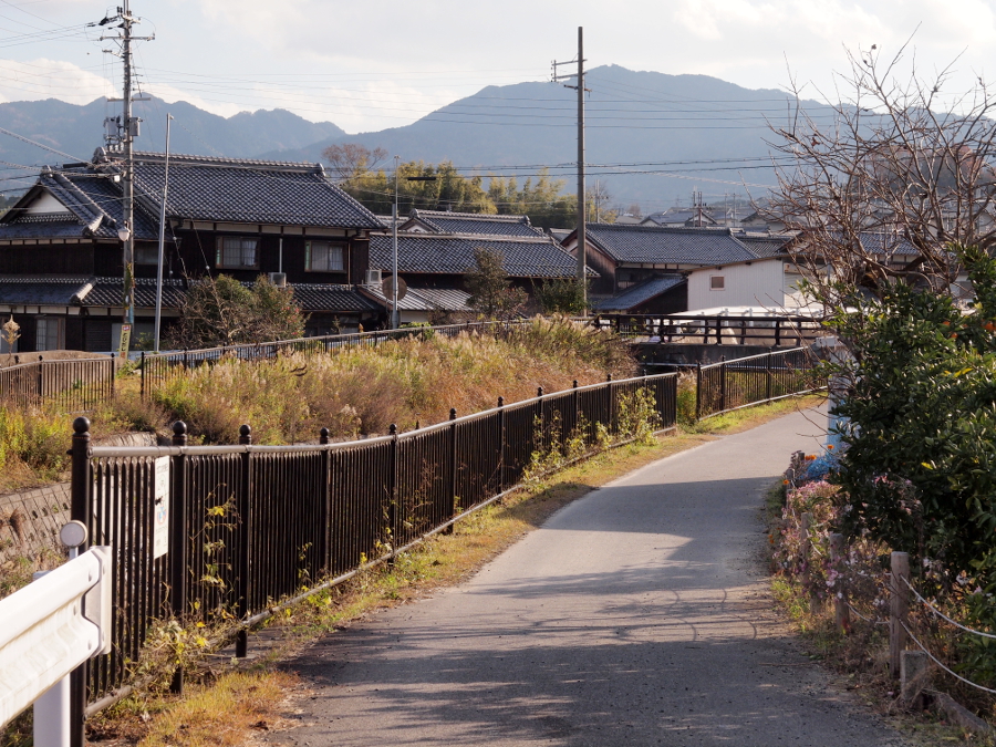 写真拡大