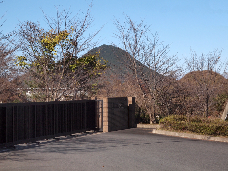 写真拡大