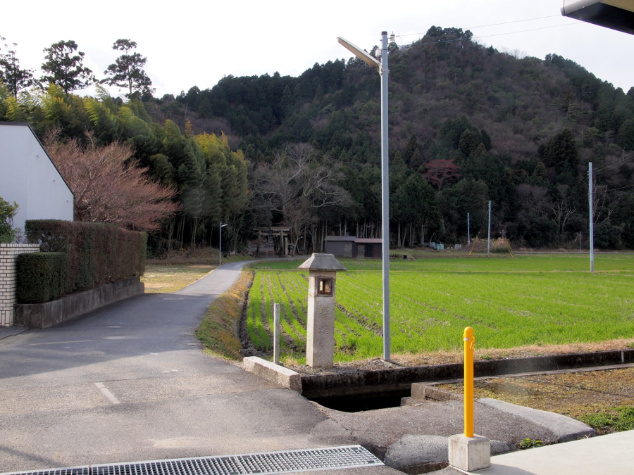 写真拡大