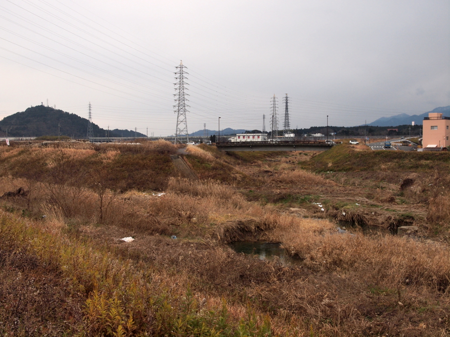 写真拡大