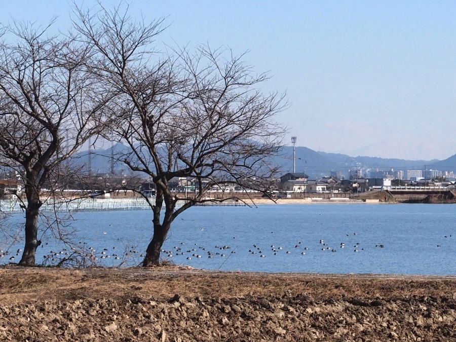 写真拡大