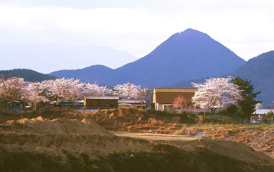 写真拡大