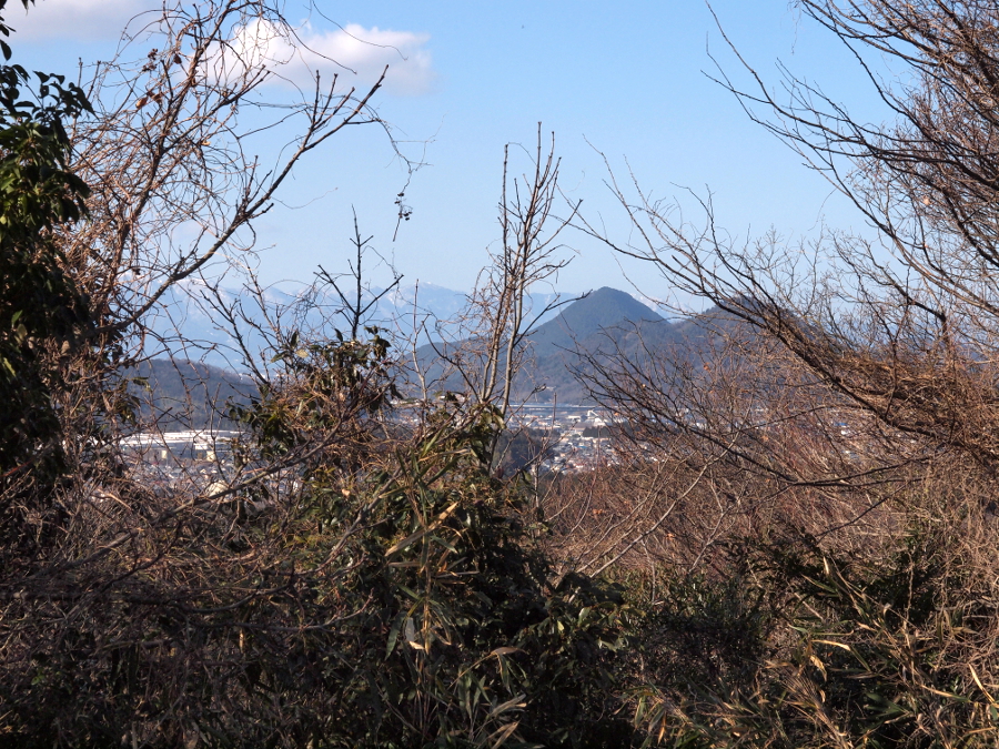 写真拡大