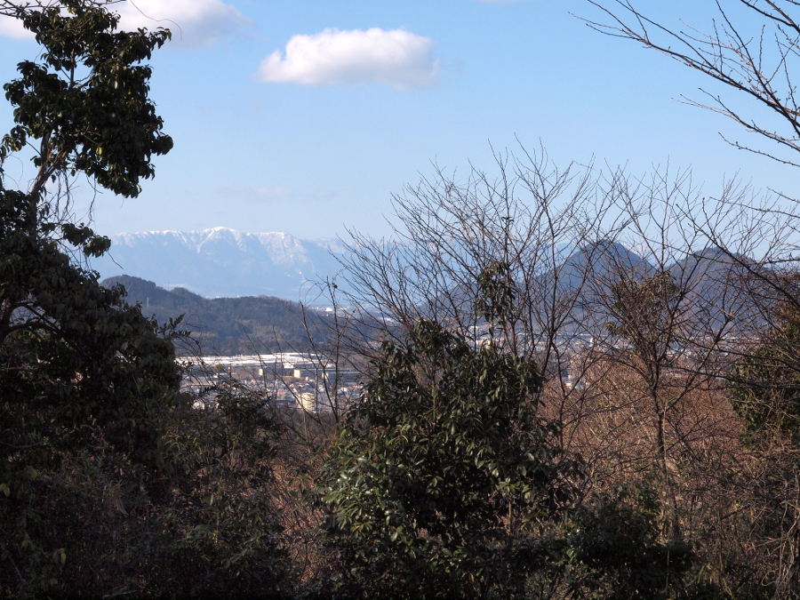 写真拡大