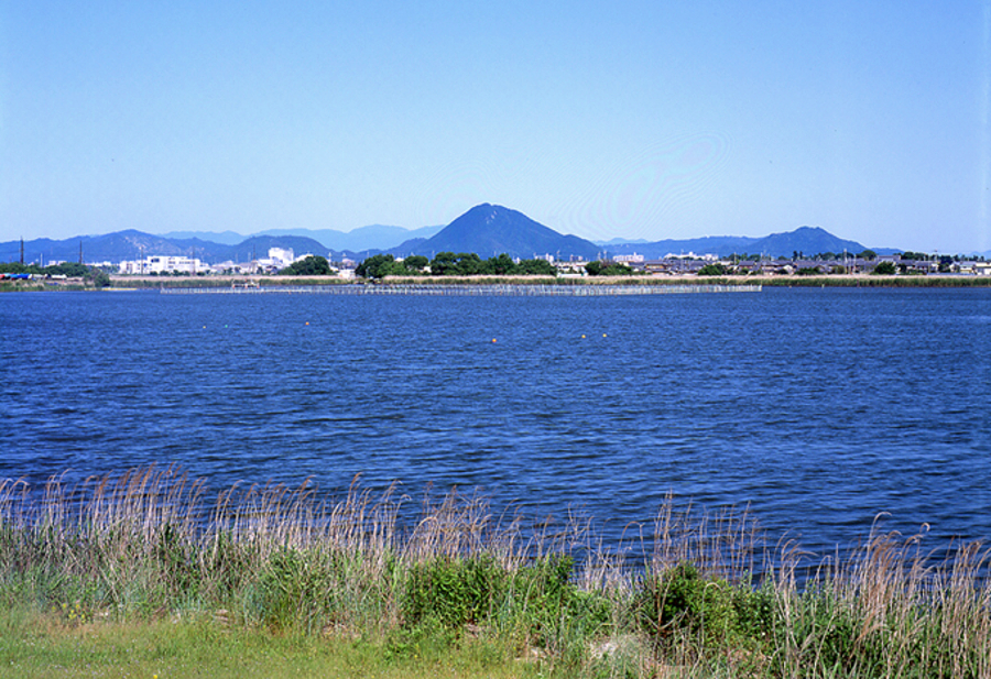 写真拡大