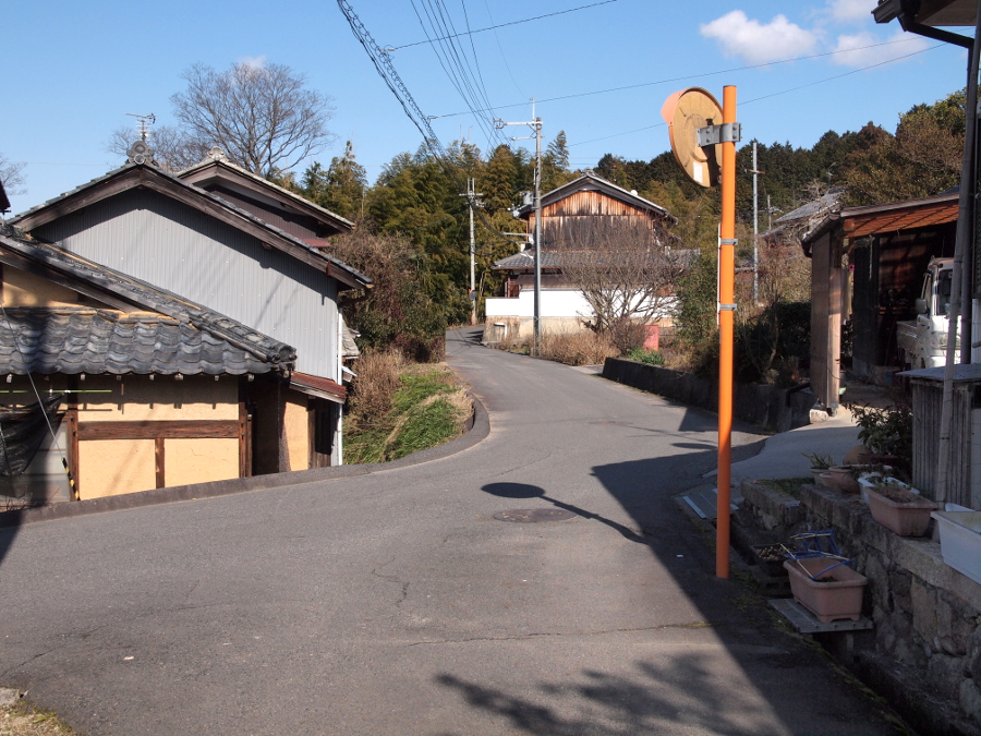 写真拡大