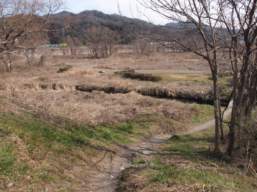 写真拡大