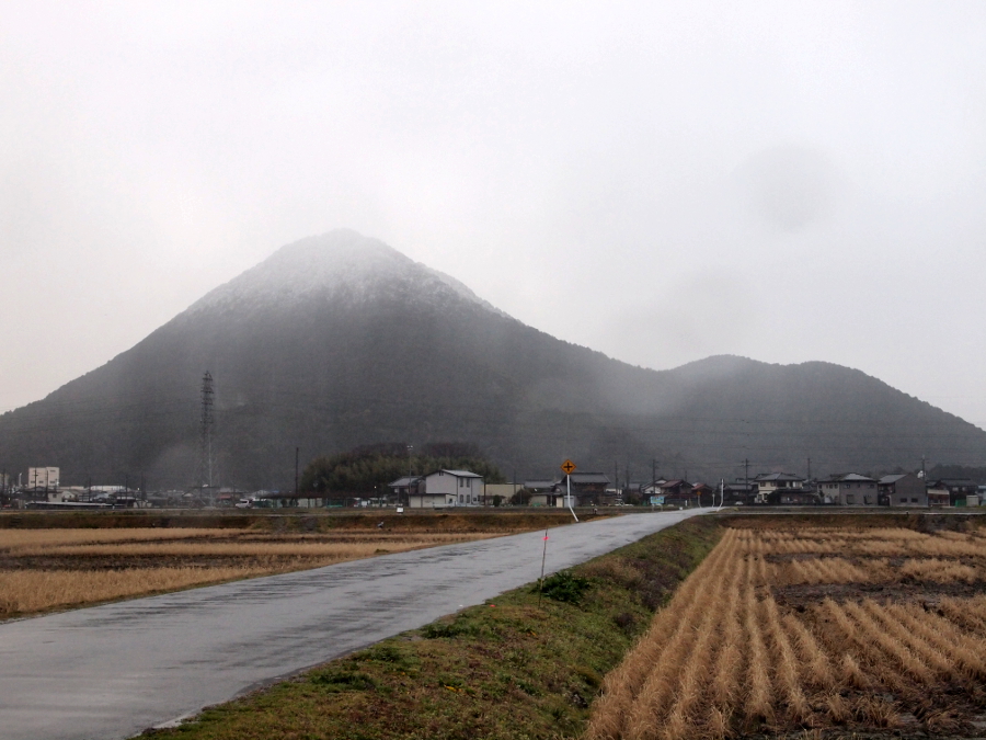 写真拡大