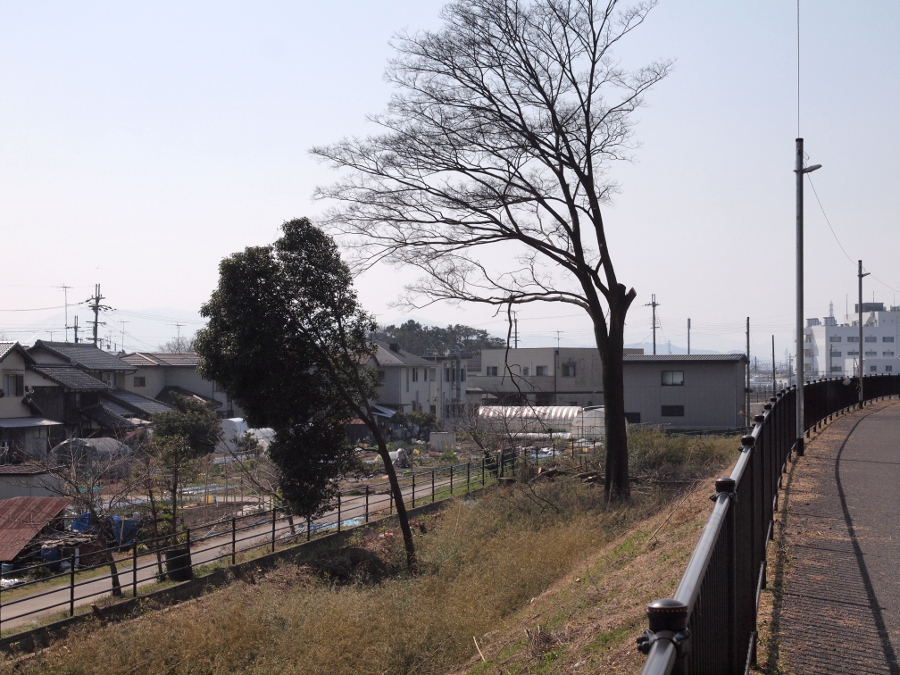 写真拡大