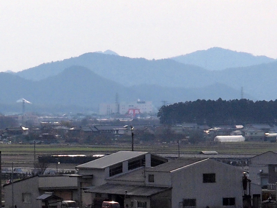 写真拡大
