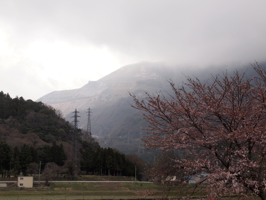 写真拡大