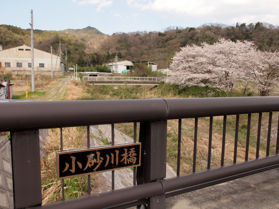 写真拡大