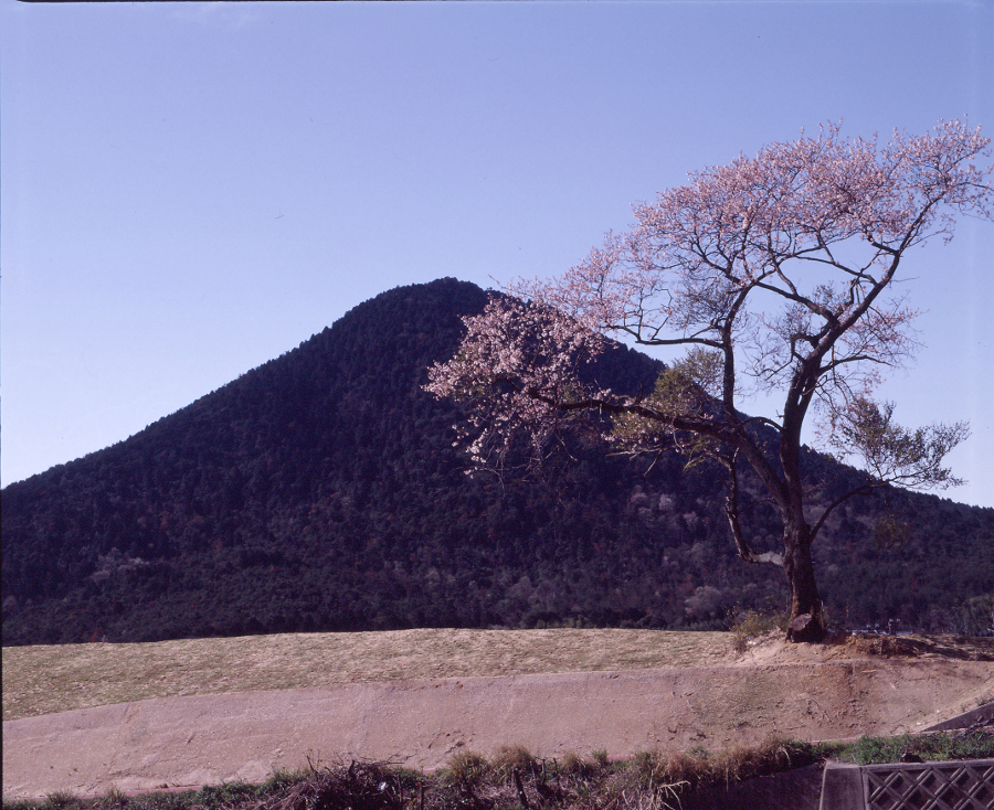 写真拡大