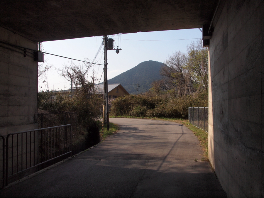 写真拡大