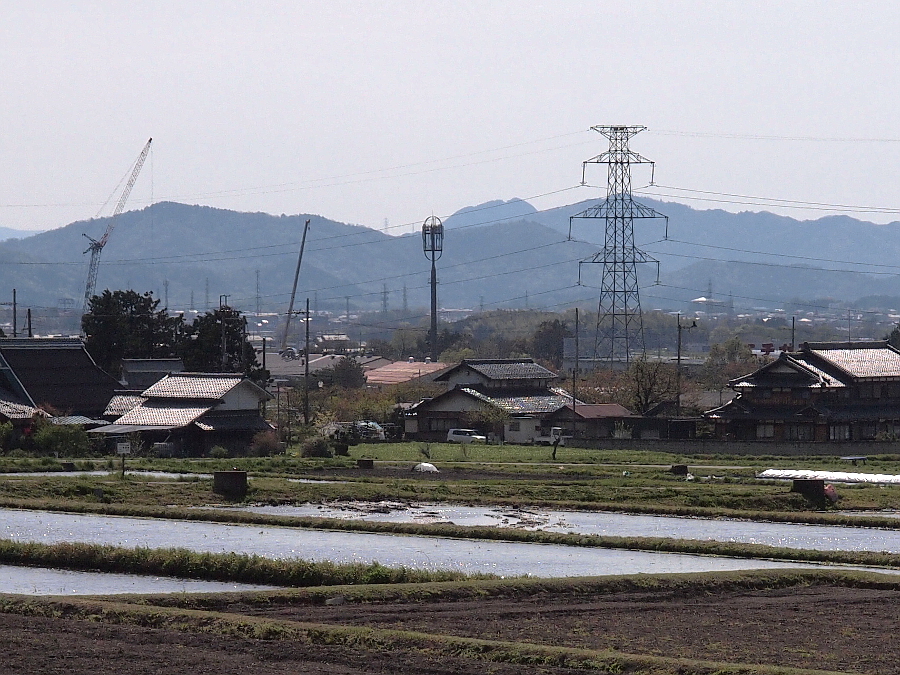 写真拡大