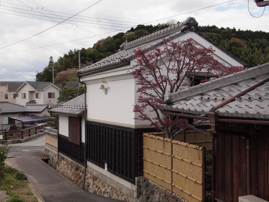 写真拡大