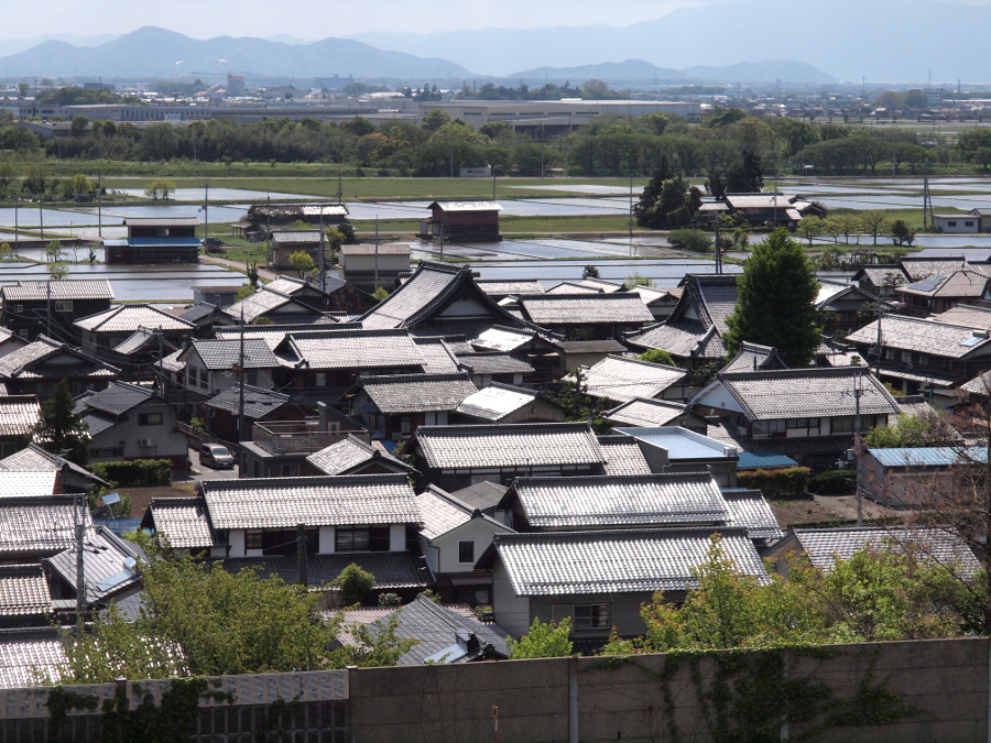 写真拡大