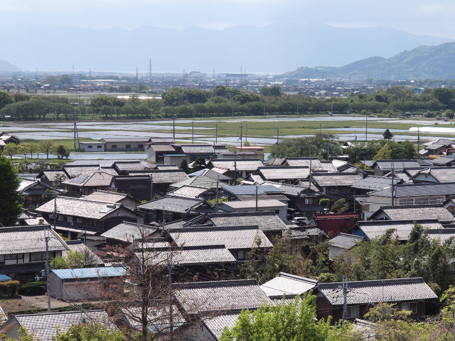 写真拡大