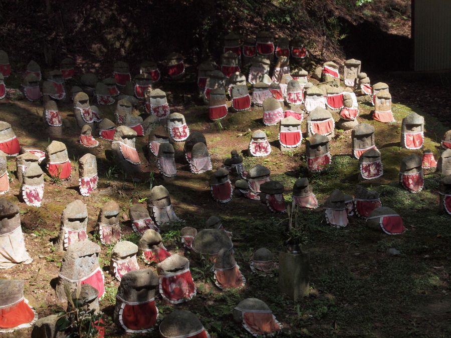 写真拡大