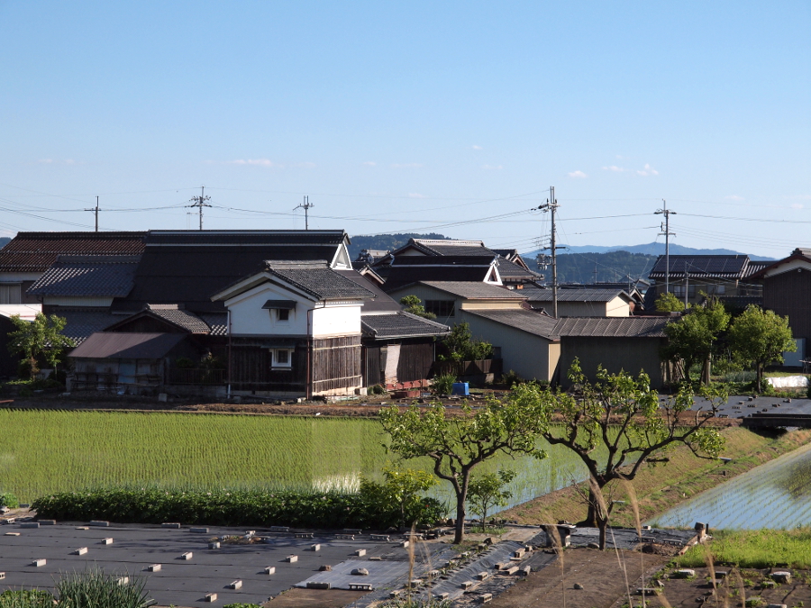 写真拡大