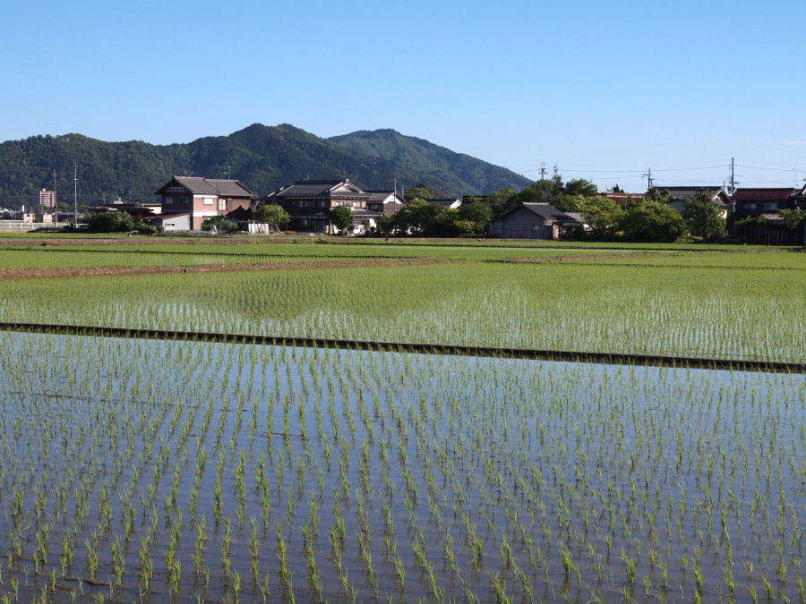 写真拡大