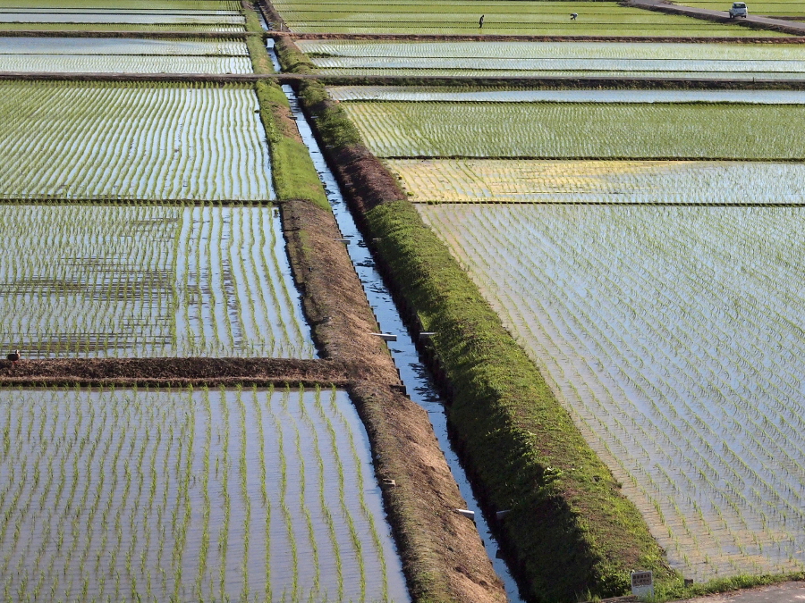 写真拡大