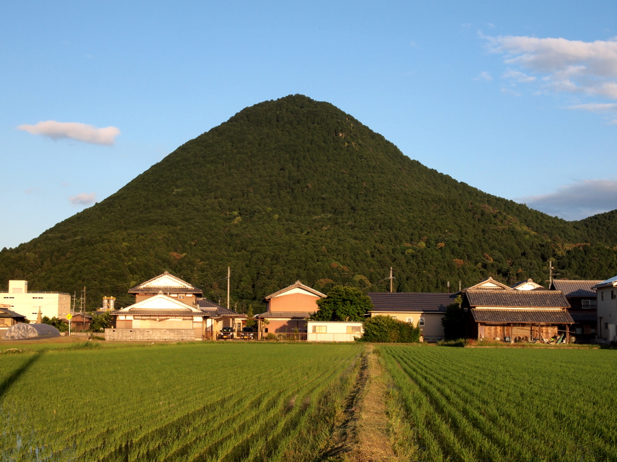 写真拡大