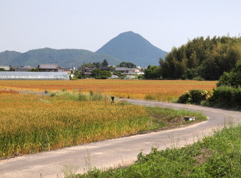 写真拡大