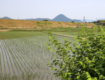 写真拡大