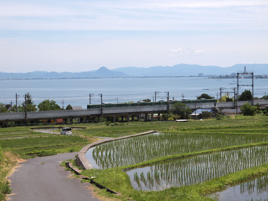 写真拡大