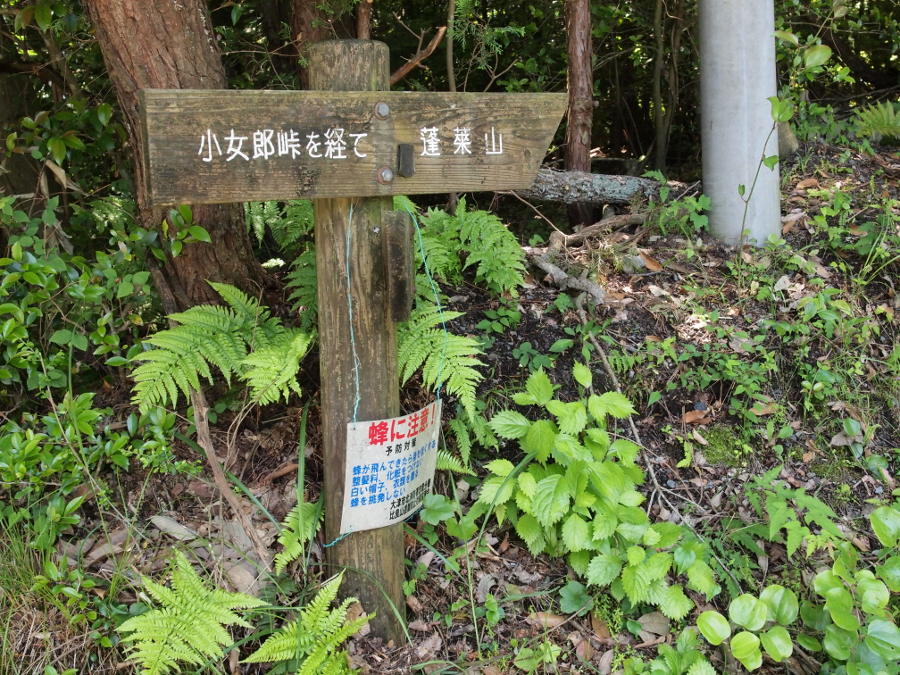写真拡大