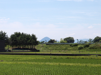 写真拡大