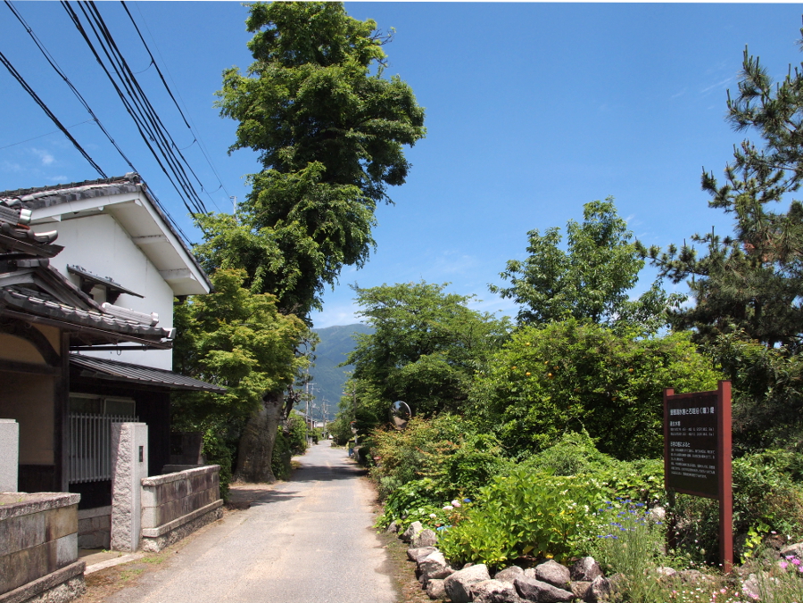 写真拡大
