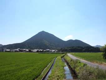 写真拡大