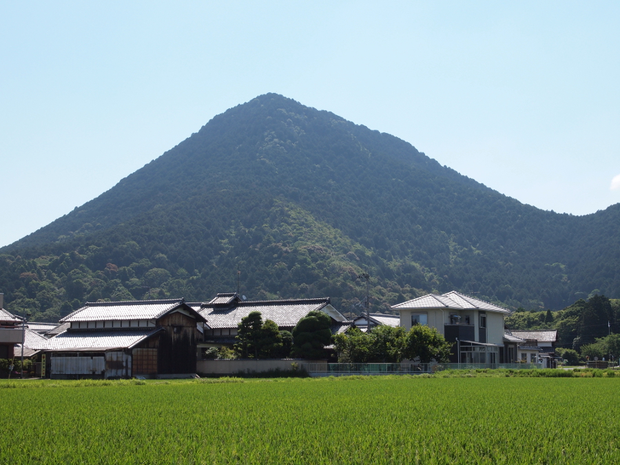 写真拡大