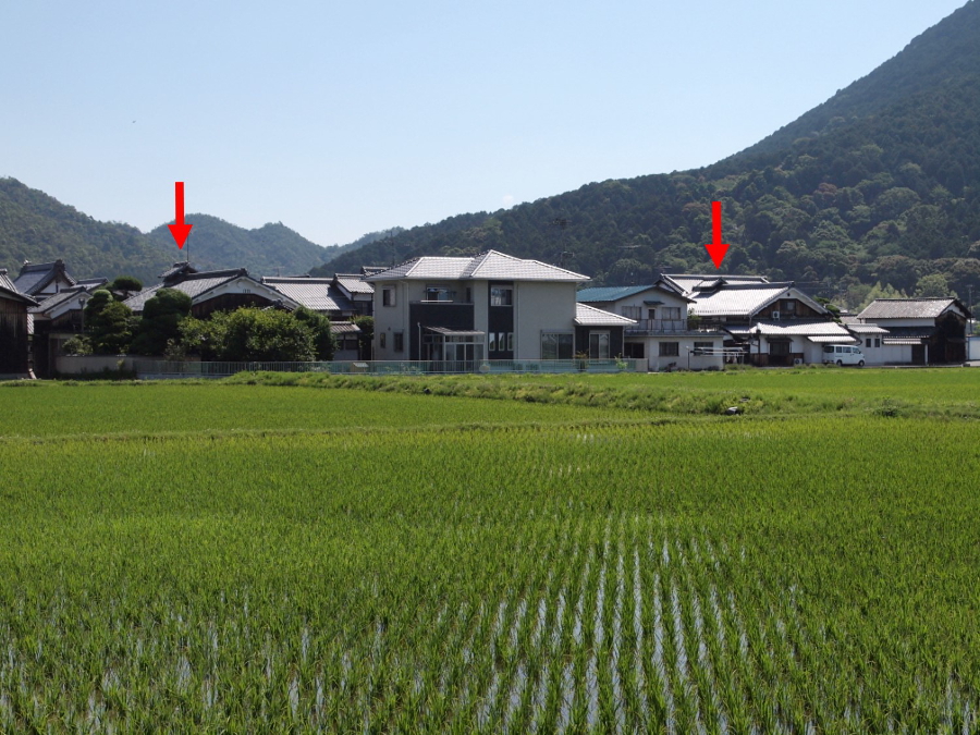 写真拡大