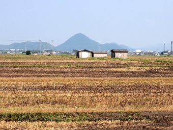 写真拡大
