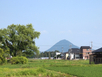写真拡大