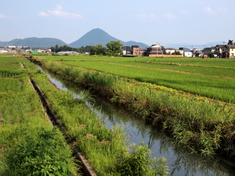 写真拡大