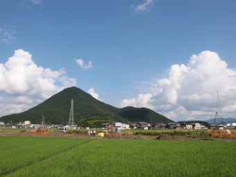 写真拡大