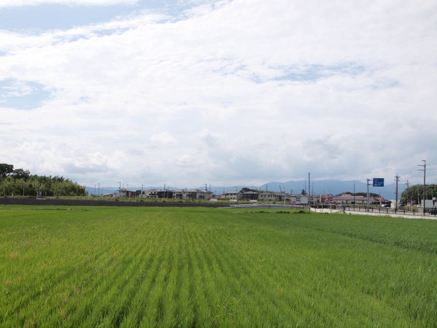 写真拡大