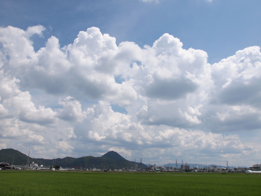 写真拡大