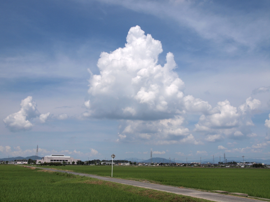 写真拡大