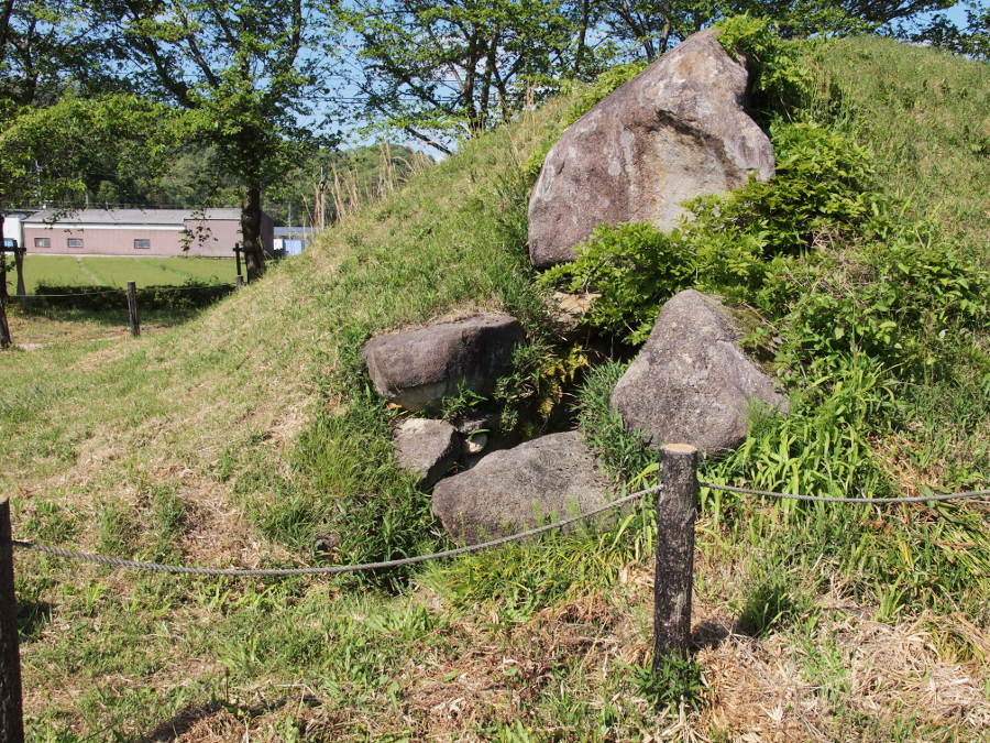 写真拡大