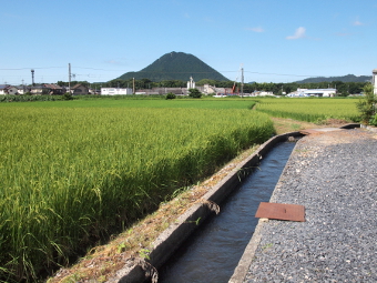 写真拡大